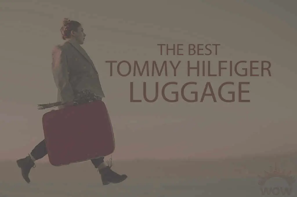 13-best-tommy-hilfiger-luggage