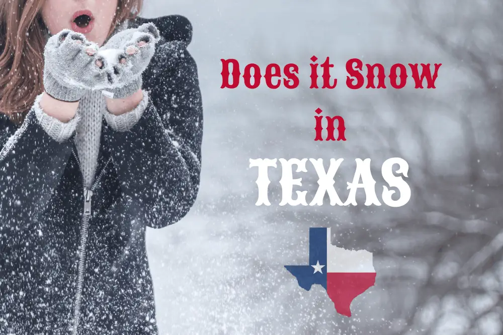 does-it-snow-in-texas?-a-history-of-the-state’s-historic-snowfall