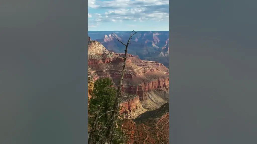 A Journey Through the Grand Canyon: Unveiling Spectacular Views The Beauty of the Grand Canyon