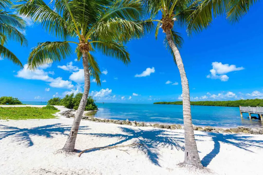 Discover the Breathtaking Beaches of the Florida Keys Key Largo