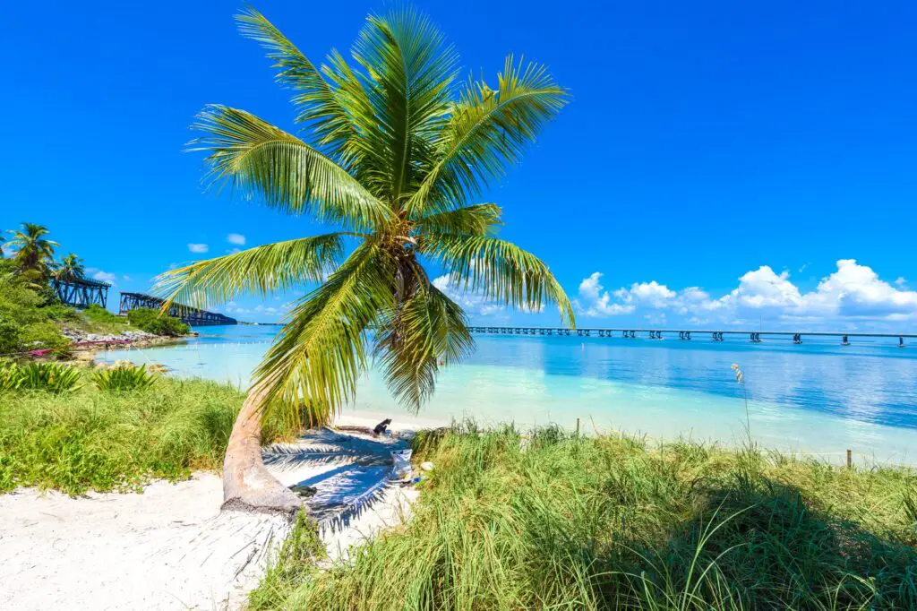 Discover the Breathtaking Beaches of the Florida Keys Key West