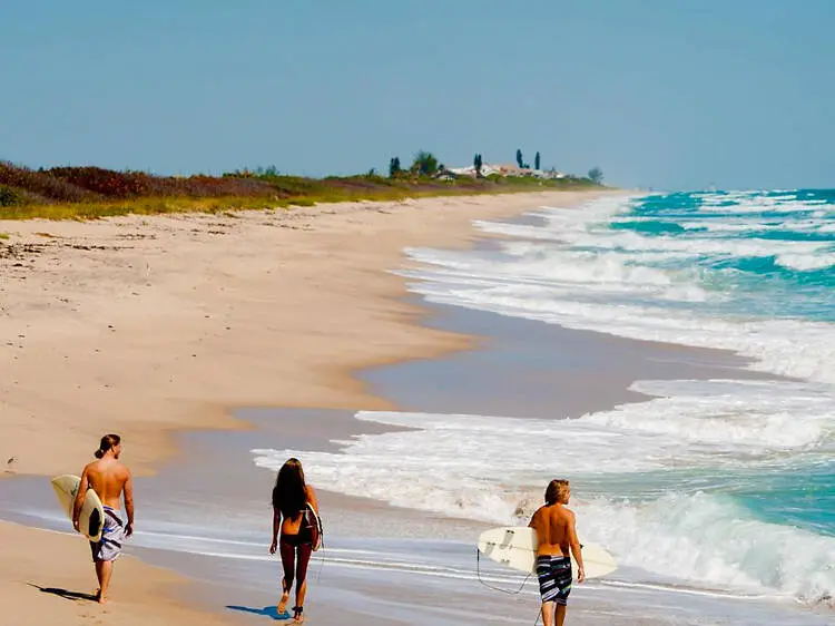 Sandy Beaches of the United States Coastal Management