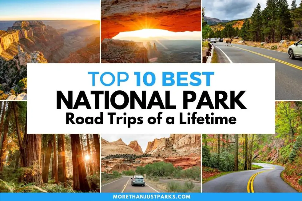The Ultimate Guide to the Top 10 Must-Visit National Parks in the United States 5. Grand Canyon National Park