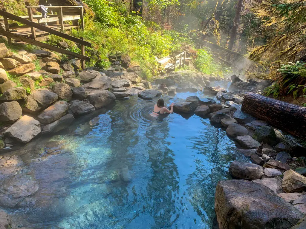 Are Pets Allowed In Oregons Hot Springs?