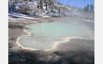 Can Hot Springs In Alaska Kill Bacteria And Viruses?
