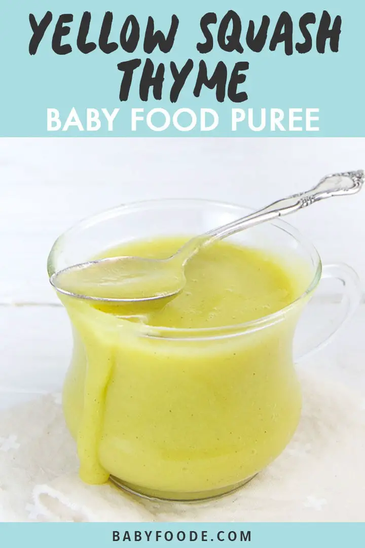 How To Make Yellow Squash Baby Food